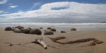 Moeraki boulders Nieuw zeeland