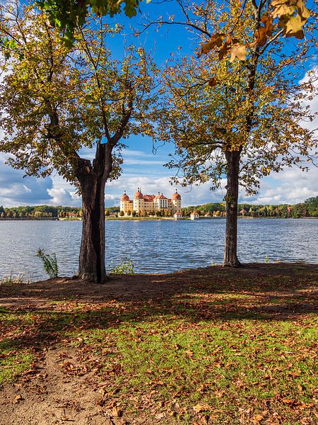 Blick auf das Schloss Moritzburg in Sachsen von Rico Ködder