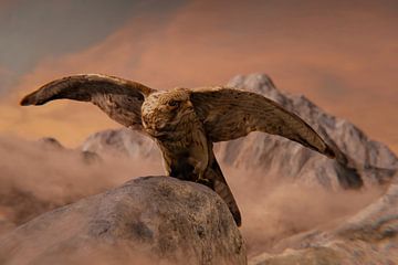 Faucon crécerellette femelle assise sur un rocher, ailes déployées sur Besa Art