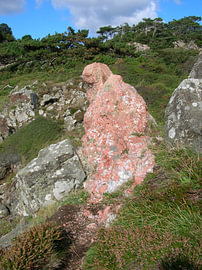 Een wild-romantische kustnatuur, Kullaberg, Zweden 2 van Helmut Martin - The Art of Stone - Steinkunst & Photographie