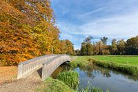 Herbst-Landschaft mit Holz Brücke über Creek im Wald mit grünen Wiese