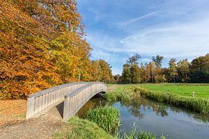 Autumn Landscape with wooden bridge over stream in forest sur Ben Schonewille