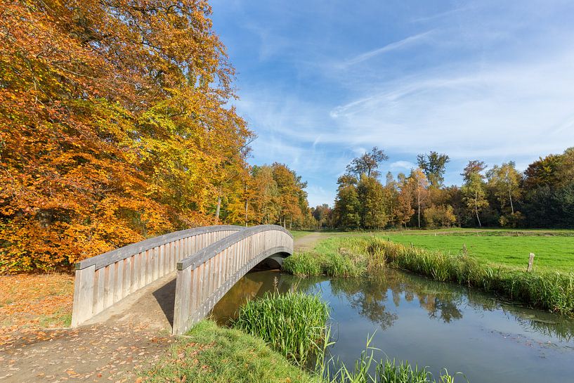 Herbst-Landschaft mit Holz Brücke über Creek im Wald mit grünen Wiese von Ben Schonewille