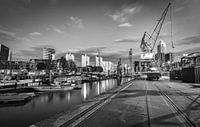 Der alte Hafen von Rotterdam