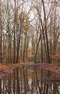 Landgoed Velhorst - Lochem (Nederland) van Marcel Kerdijk