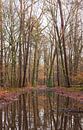 Landgoed Velhorst - Lochem (Nederland) van Marcel Kerdijk thumbnail