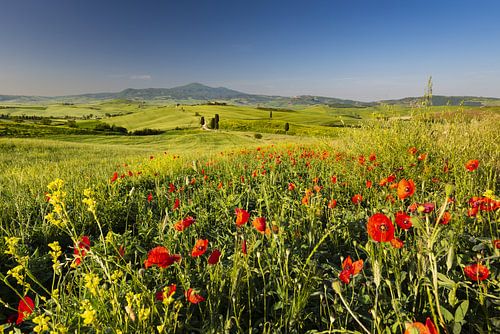 Lente in Toscane