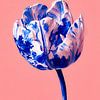 Tulipe en porcelaine bleue sur fond rose sur But First Framing