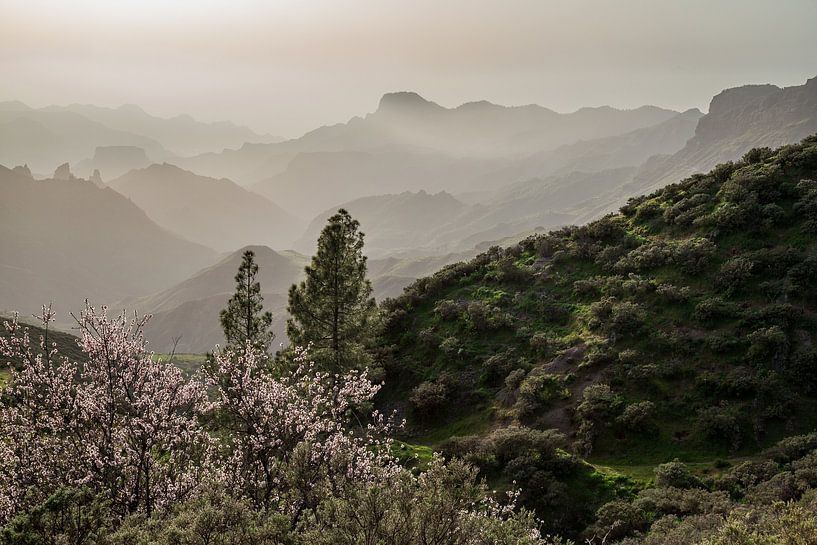 Zonsondergang in Gran Canaria, Cruz de Tejeda. van Marjolein Zijlstra