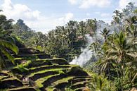 Reisfelder von Bali von Fulltime Travels Miniaturansicht