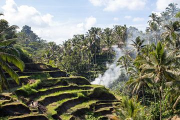 Rizières de Bali sur Fulltime Travels