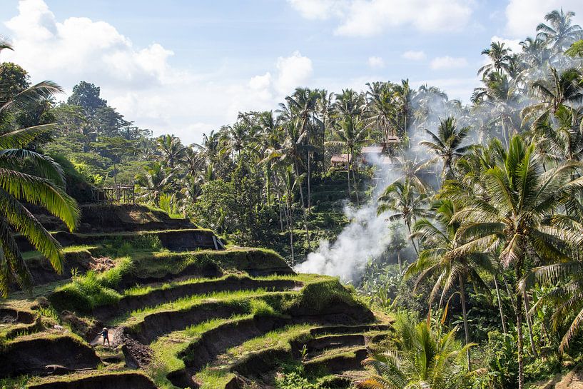 Rijstvelden van Bali van Fulltime Travels