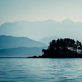Eiland voor de kust voor Vancouver Island van Elly van Veen