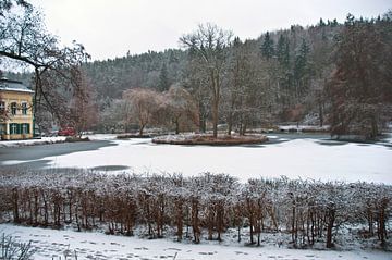 Bevroren vijver bij het Bad Freienwalde veenbad in de regio Oderbruch