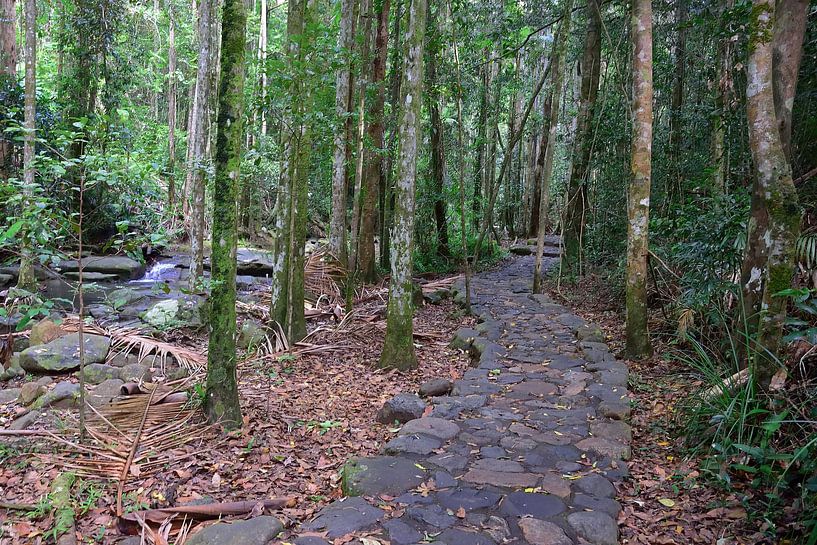Cobblestone path in Buderim Forest Park by Frank's Awesome Travels