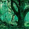 Into the green world van Joram Janssen