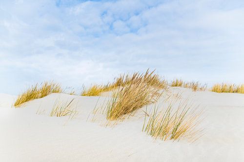Dünen auf der Wattenmeerinsel Schiermonnikoog während eines schönen Wintertages von Sjoerd van der Wal Fotografie