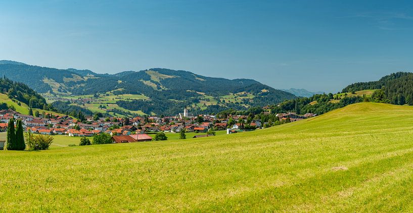 Meadow in summer near Oberstaufen by Leo Schindzielorz