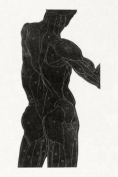 Anatomische Studie der Rücken- und Gesäßmuskeln eines Mannes, Reijer Stolk
