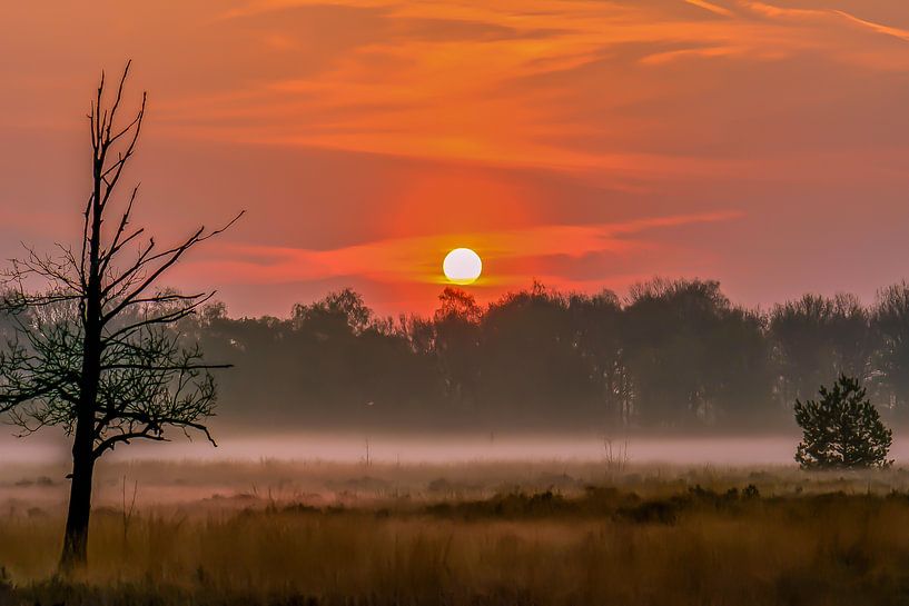 Nebel auf dem Veluwemeer von Tania Perneel