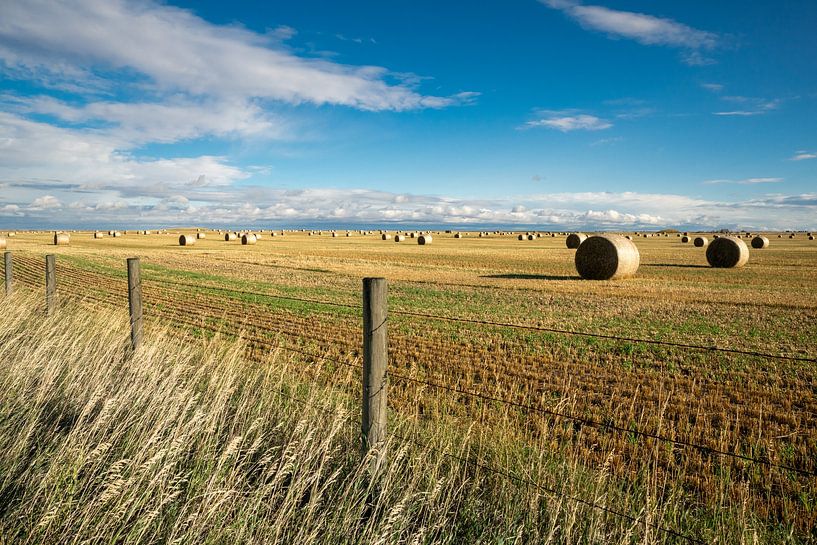 Round bales of straw on a harvested grain field with dramatic cloudy sky. by Christiaan Poot