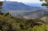Blick auf die Stadt Soller auf der Baleareninsel Mallorca von Reiner Conrad Miniaturansicht