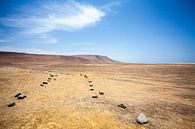 Paracas-Wüste in Peru - Südamerika von WorldWidePhotoWeb Miniaturansicht