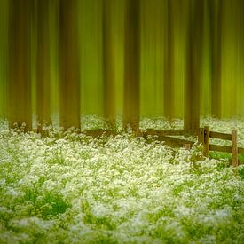 Flute herb forest by Piet Haaksma