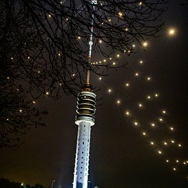 Der größte Weihnachtsbaum der Welt leuchtet wieder über Utrecht von Mel Boas