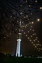 Le plus grand sapin de Noël du monde brille à nouveau au-dessus d'Utrecht par Mel Boas Aperçu