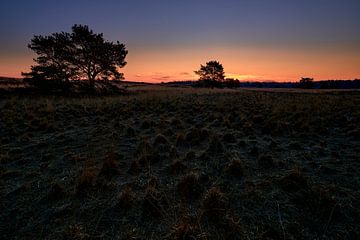 Sonnenaufgang in der Elspeetseer Heide von Jenco van Zalk