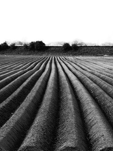 Pas geploegd land