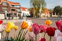 Bloeien in stilte