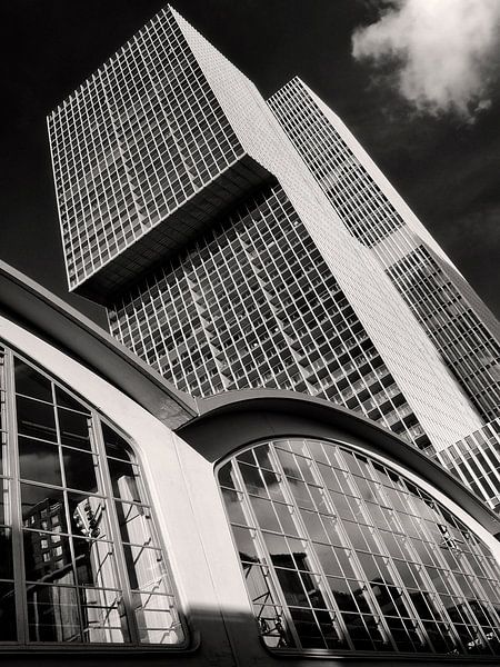 THE ROTTERDAM von Fons Bitter