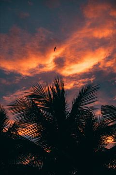 Une belle soirée au paradis avec le soleil couchant sur MADK