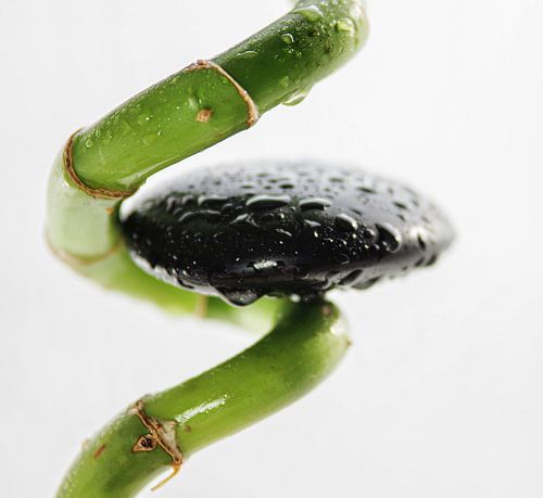 Être au centre de soi-même grâce à un bon équilibre