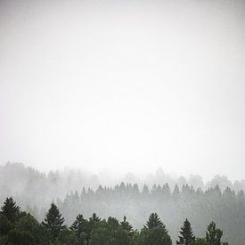 Schichten in der Natur von Koen Lipman