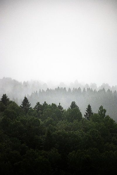 Layers in nature by Koen Lipman