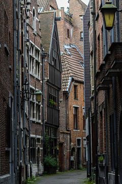 Het houten huis (Antwerpen) van Ann Barrois