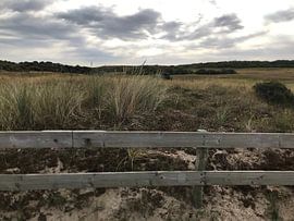 Dune landscape Oostkapelle by Oostkapelleliebhaberin