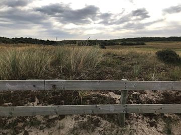 Dune landscape Oostkapelle