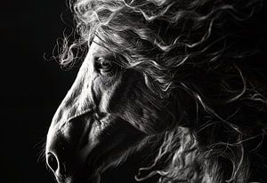Black Mystery - Das Friesenpferd
