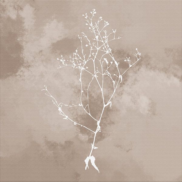 Nuvole di Prato. Abstract Botanical Minimalist in retro  beige brown by Dina Dankers