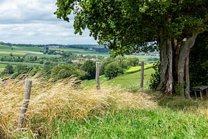 Typische südlimburgische Landschaft bei Epen