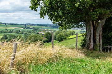 Typische südlimburgische Landschaft bei Epen