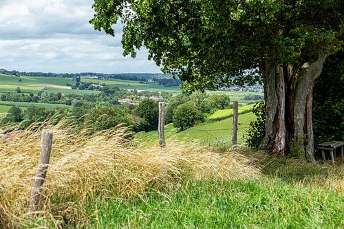 Typisch Zuid-Limburgs landschap in de buurt van Epen