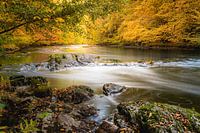 L'automne sur l'Ourthe