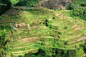 Banaue rijstterrassen, een levend erfgoed