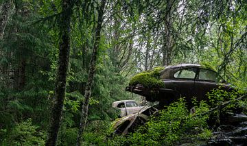 Tijdloze Roest: Auto's in het Zweedse Woud van Alle Kuperus