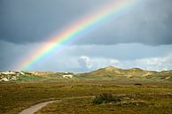 Regenbogen über den Dünen von Bo Valentino Miniaturansicht